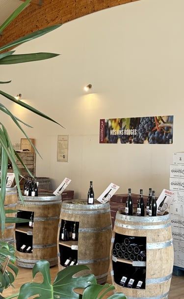 Vins rouges Touraine vins rouge Amboise Côt côt ri côt Malbec Pinot Noir Félix