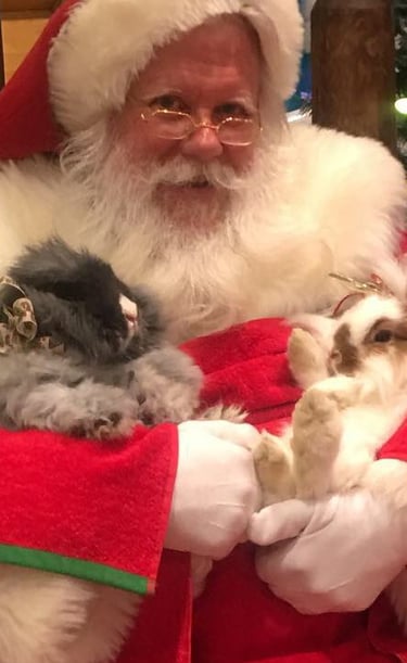 High Sierra Santa is pet-friendly