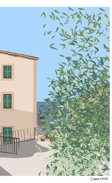 Banyalbufar Mallorca - olive tree in front of the sea 