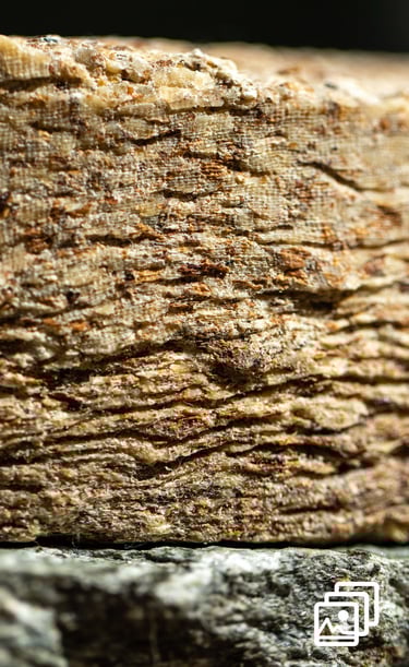 a stack of nuts