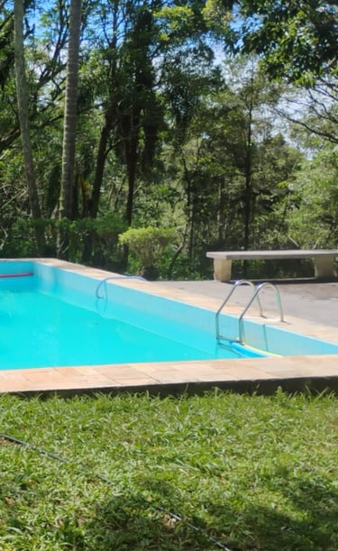 Em dias ensolarados nadar é uma pedida, a piscina convida.
