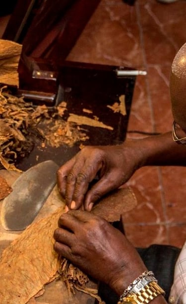 havanna szivarsodró, kubai szivar