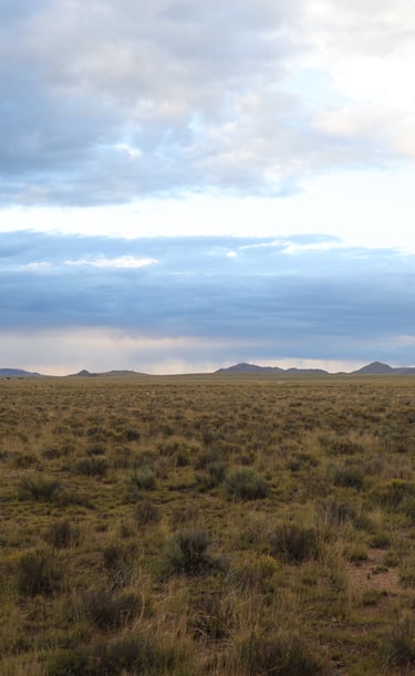 a horse in the middle of a field with mountains in the background