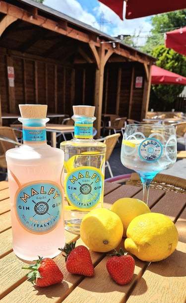 two bottles of gin with lemons and strawberries