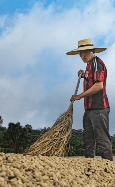 a man in a straw hat is holding a broom moving coffee beans