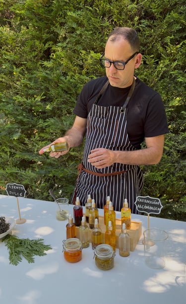 taller vermut
