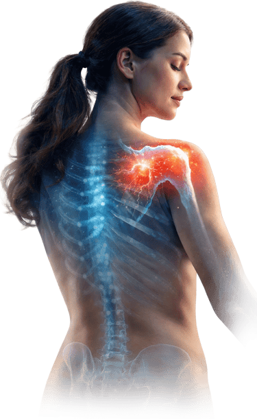 Anatomical medical illustration of a woman showing shoulder joint pain and inflammation in red.