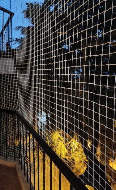 Wide shot of a window protected by a neatly installed pigeon net, sunlight filtering through.