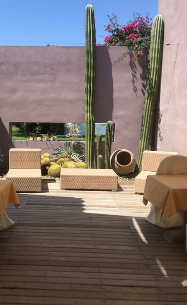 Modern outdoor patio with wicker lounge furniture and tall saguaro cacti against a purple wall.