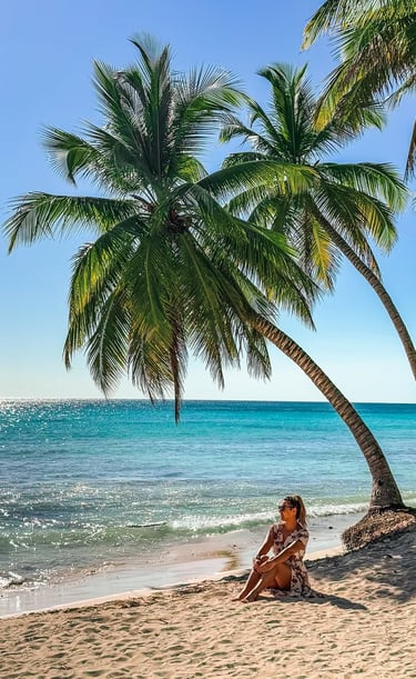 Saona Island