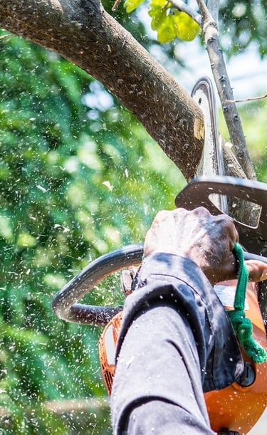 tree trimming services Slidell