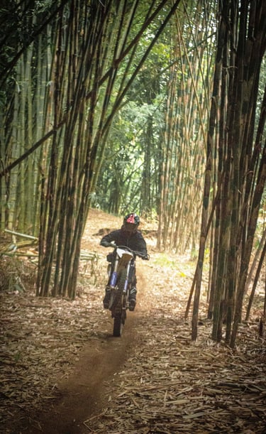 Bali dirt bike adventures