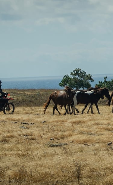 Sumba Dirt Bike Adventure