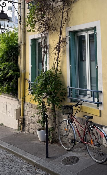 Volets accordéon en tôle persienné qui se replient dans le tableau de fenêtre