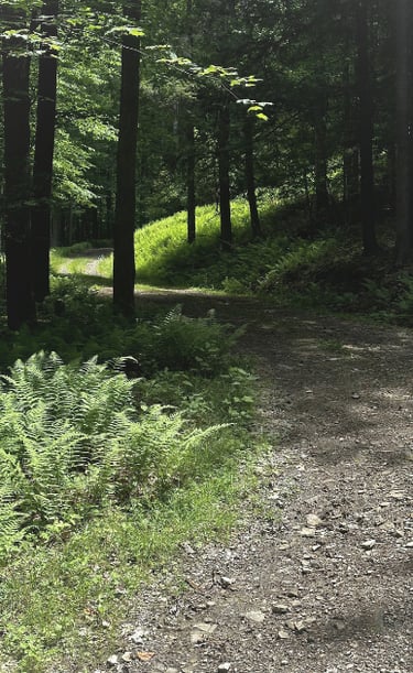 Addison, NY Switchbacks