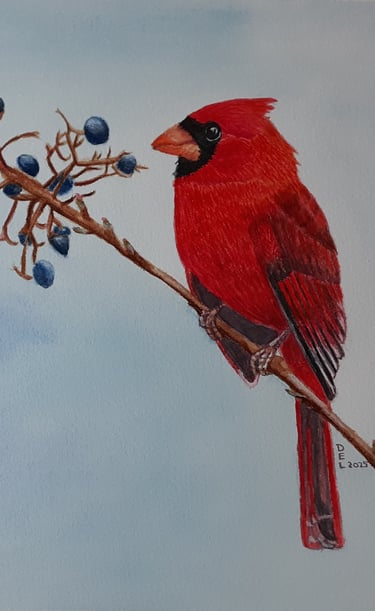a watercolor painting of a red cardinal bird perched on a branch of a tree