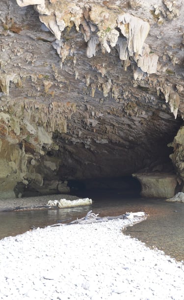 Cave Entrance at Nohoch Che'en National Park