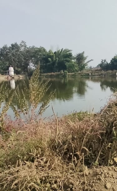 pond