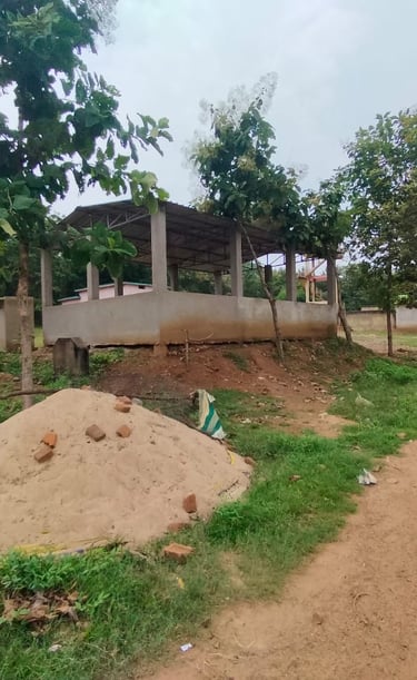 shelter