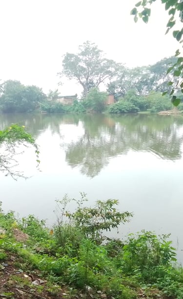 pond