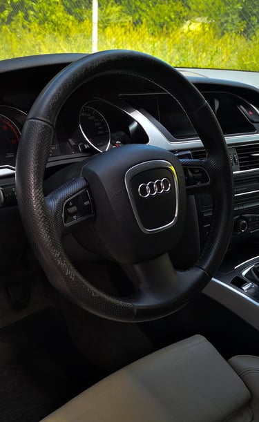 detailing interior piele