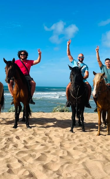 b_equestre,centre_equestre,cours_equitation,balade_a_cheval,balade_plage,balade_coucher_de_soleil,ch