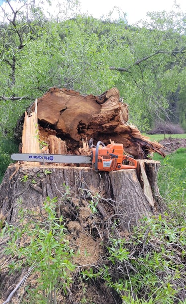 Chainsaw on a stump