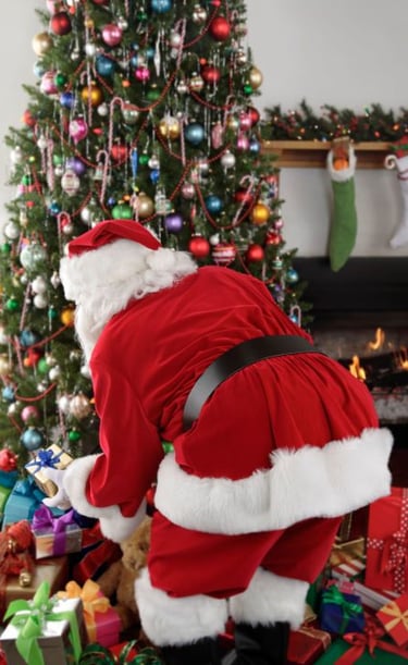 kaledu senelio vizitas vilniuje