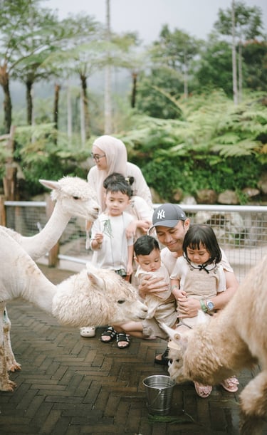 Family with alpaca during a family photography session at Bali Farm House Bedugul Bali.