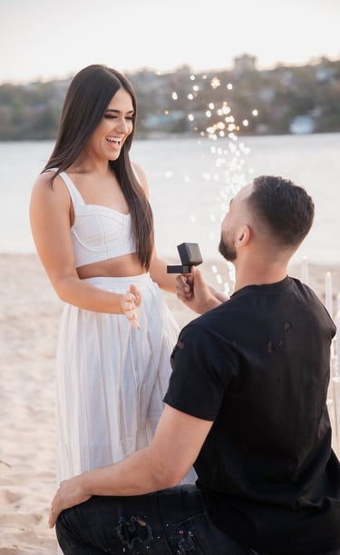 Sydney Beach Proposal