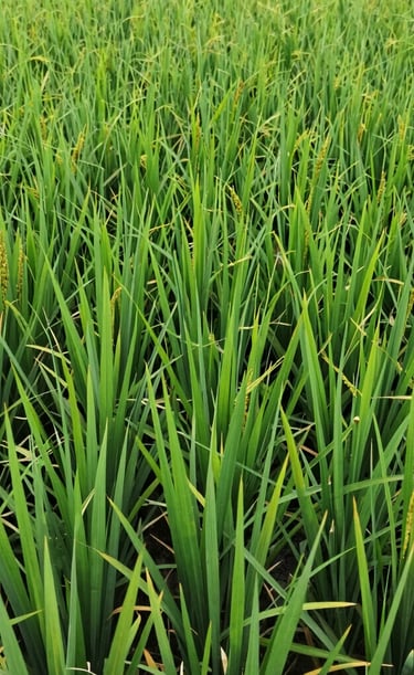 a person with tattoos on their arm