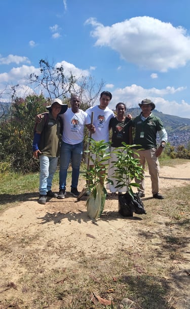 dia de siembra por la vida Ong impacto ambiental