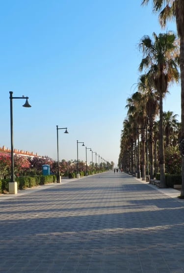 Paseo de la Playa de las Arenas Valencia