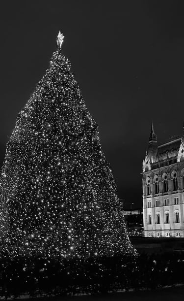 Christmas tree in Budapest