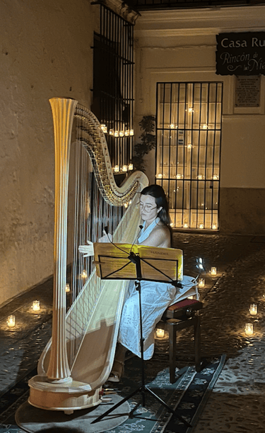 Belén García Sánchez playing the harp at a Candelight concert