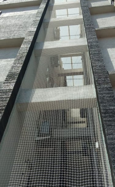 Wide shot of pigeon safety nets installed on a residential building facade