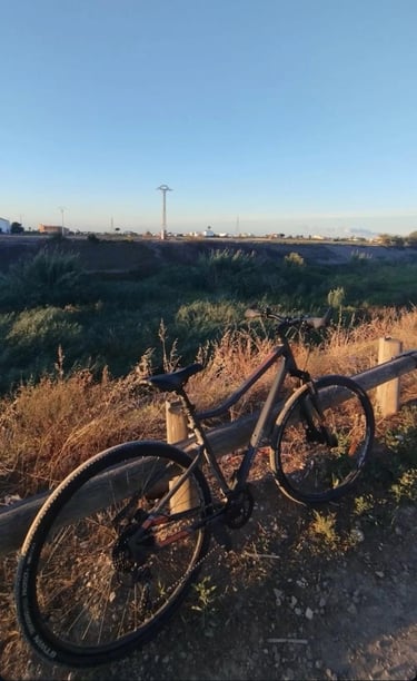 autor de seguridadbiciselectricas con bicicleta en Madrid 2025