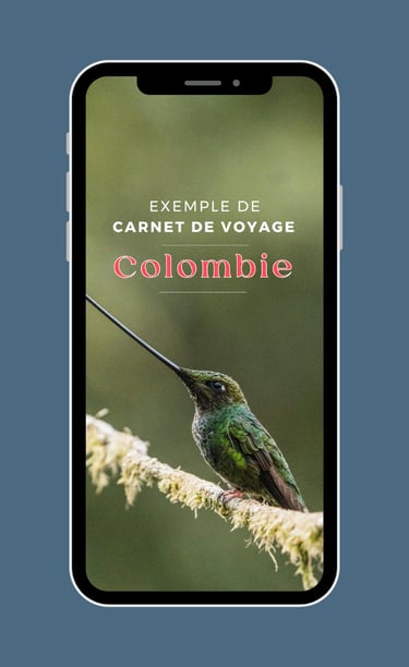 carnet de voyage colombie rayona exemple