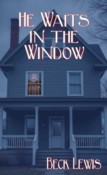 He waits in the window book cover