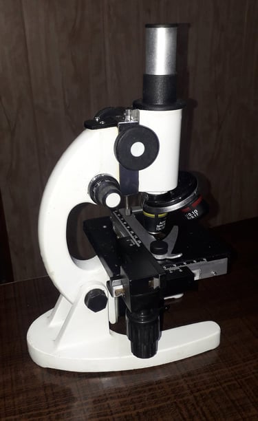 compound microscope