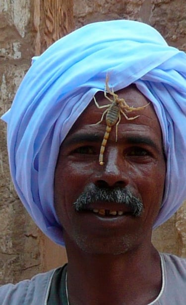 17º ClasificadoConcursillo Octubre 2025 Color