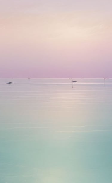 therapy for stress and overwhelm, burnout. coping strategies, reducing anxiety and panic attacks