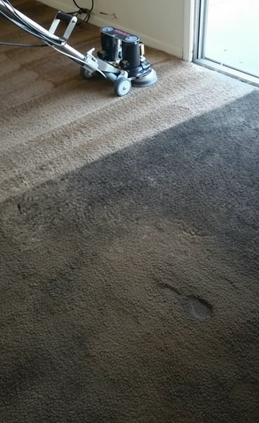 Lacey carpet being cleaned by Grossbusters