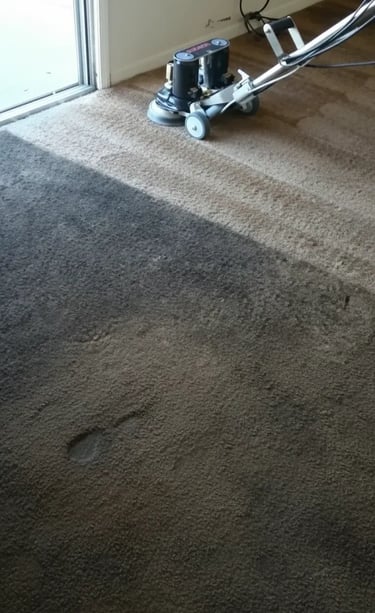 Carpet cleaning with a Rotovac Powerwand in Olympia