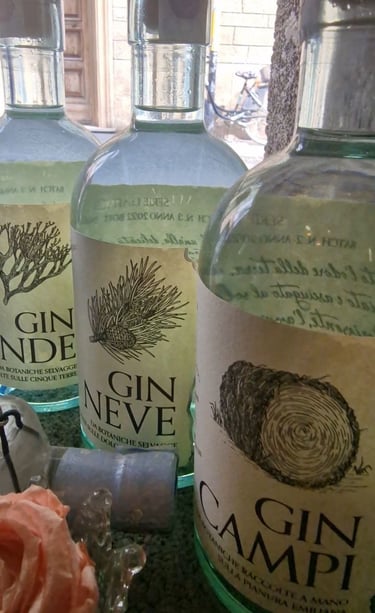 Gin premium Terra Wild Spirits selezione per locali notturni mixology