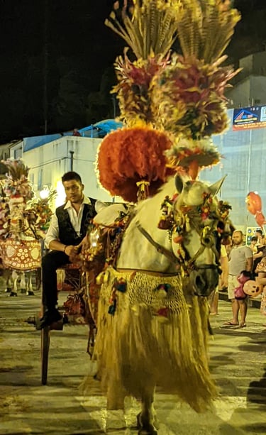 a man in a costume with a horse drawn on a horse