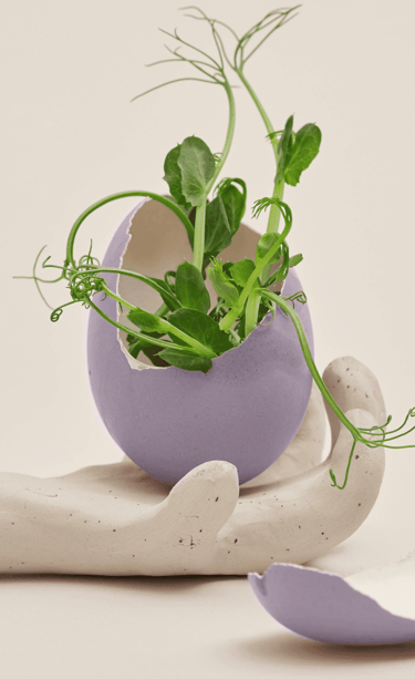 Nieuw begin na doorbreken systemische patronen onderwijs.