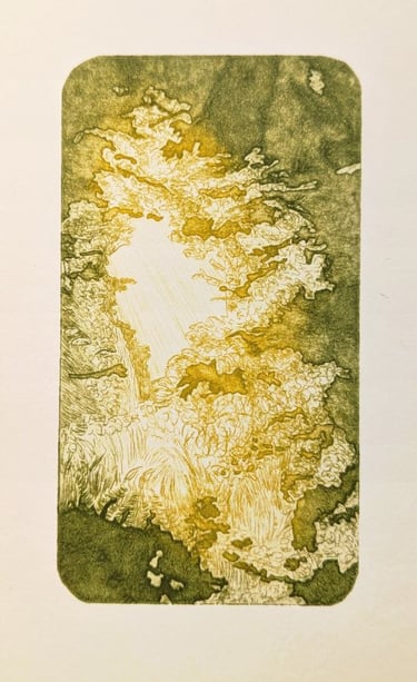 Komorebi gravure tetrapak