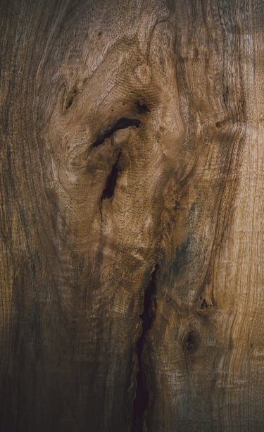 arbre noeud bois comportement limitant therapie breve denouer