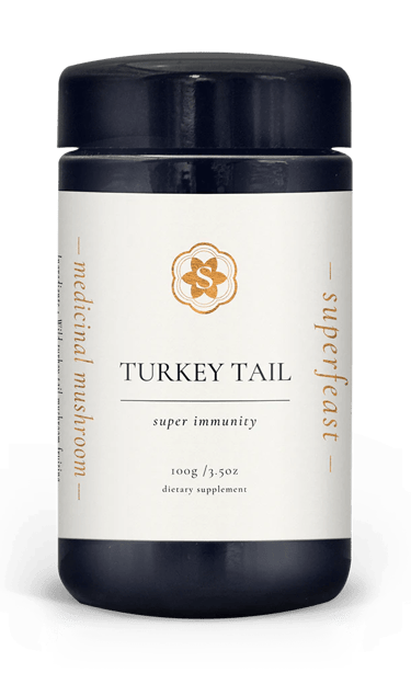 turkey tail medicinal mushrooms